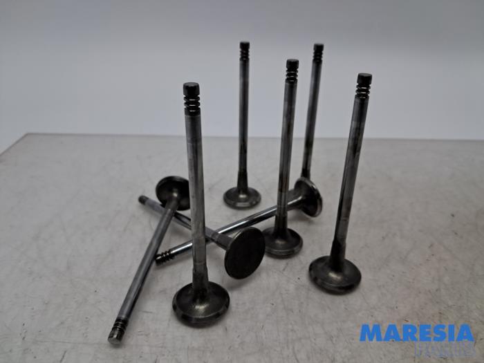 Gebrauchte Einlassventil Toyota ProAce 2.0 D-4D 122 16V Worker Preis € 48,40 Mit Mehrwertsteuer angeboten von Maresia Parts