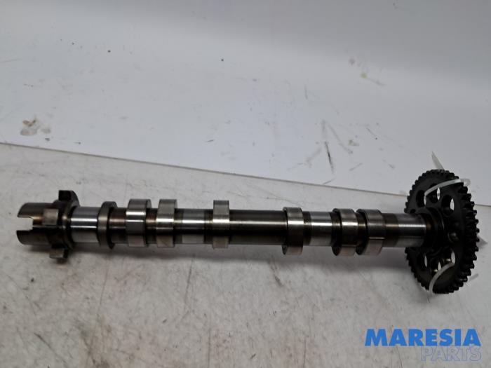 Usagé Arbre à cames Fiat 500 (312) 0.9 TwinAir 80 Prix € 89,99 Règlement à la marge proposé par Maresia Parts