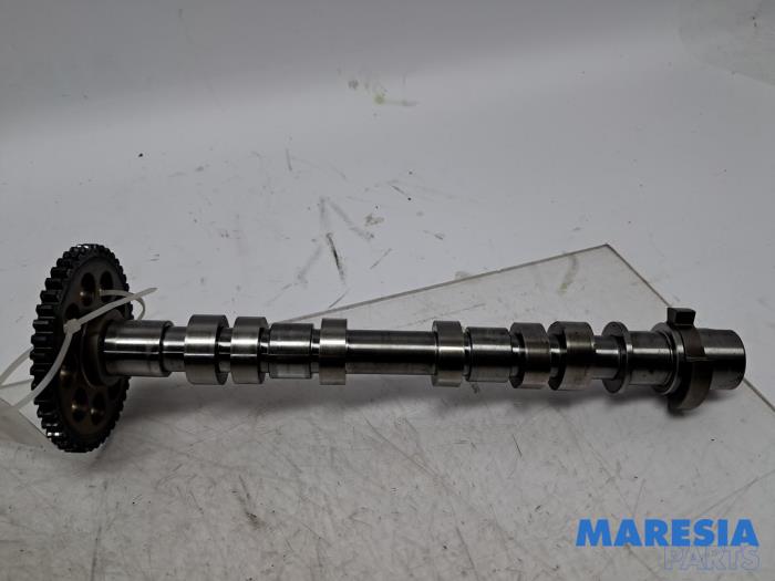 Gebrauchte Nockenwelle Fiat 500L (199) 0.9 TwinAir Turbo 105 Preis € 89,99 Margenregelung angeboten von Maresia Parts