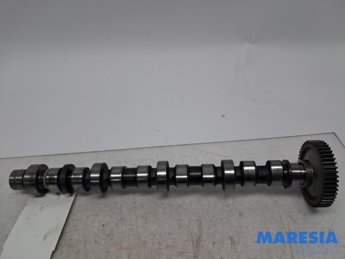 Usagé Arbre à cames Alfa Romeo GT (937) 1.9 JTD 16V Multijet Prix € 79,99 Règlement à la marge proposé par Maresia Parts