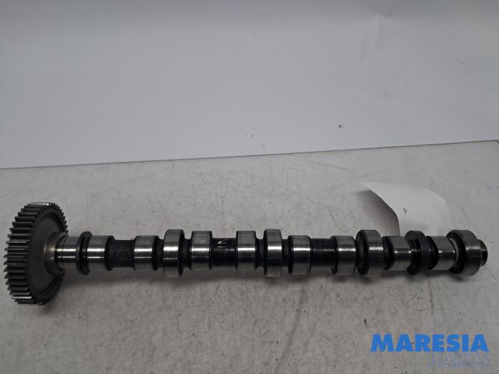 Usagé Arbre à cames Alfa Romeo GT (937) 1.9 JTD 16V Multijet Prix € 79,99 Règlement à la marge proposé par Maresia Parts
