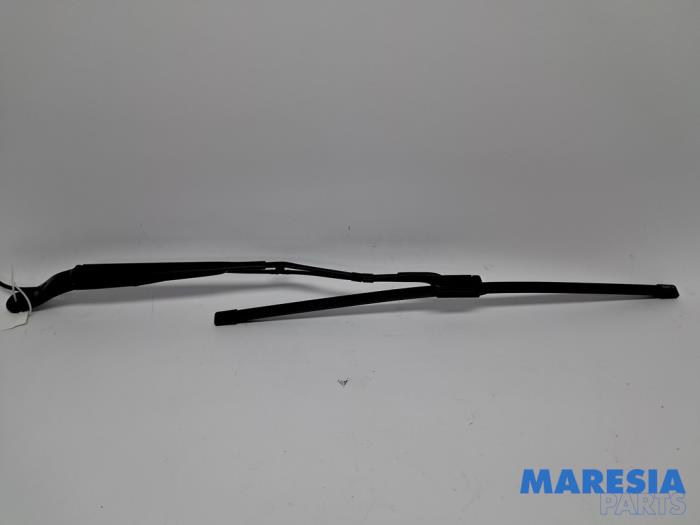 Seatbelt adjustment motor