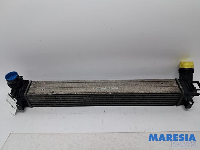 Usados Intercooler Renault Megane III Grandtour (KZ) 1.2 16V TCE 115 Precio € 30,00 Norma de margen ofrecido por Maresia Parts