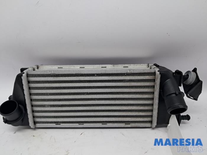 Usados Intercooler Fiat 500C (312) 0.9 TwinAir 85 Precio € 44,99 Norma de margen ofrecido por Maresia Parts