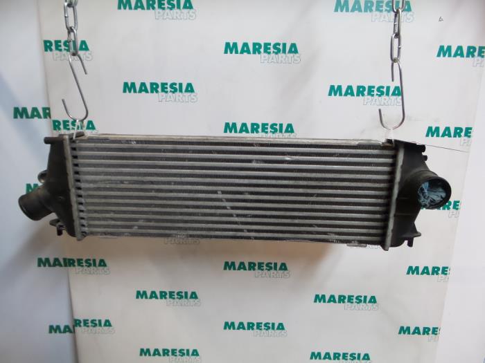 Usados Intercooler Renault Trafic New (FL) 2.0 dCi 16V 90 Precio € 30,25 IVA incluido ofrecido por Maresia Parts