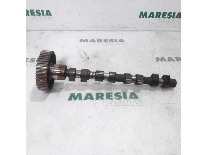Usagé Arbre à cames Alfa Romeo 145/146 Prix € 105,00 Règlement à la marge proposé par Maresia Parts
