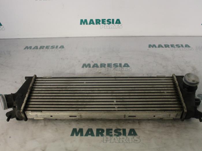 Usagé Intercooler Renault Trafic New (FL) 2.0 dCi 16V 90 Prix € 25,00 Règlement à la marge proposé par Maresia Parts