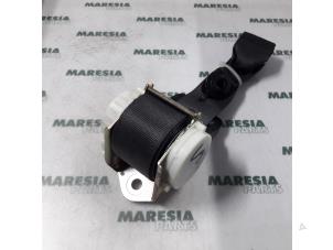 Used Rear seatbelt, left Fiat Croma Price € 75,00 Margin scheme offered by Maresia Parts
