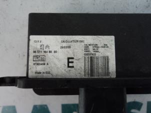 Usagé Ordinateur divers Citroen C5 II Break (RE) 2.2 HDiF 16V Prix € 25,00 Règlement à la marge proposé par Maresia Parts