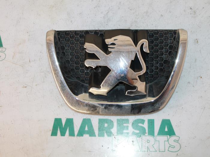 Używane Grill Peugeot 207/207+ (WA/WC/WM) 1.4 16V Cena € 20,00 Procedura marży oferowane przez Maresia Parts