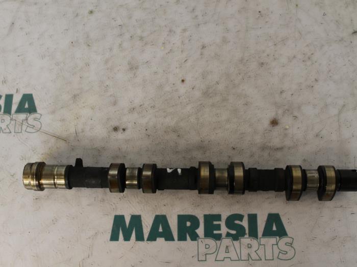 Usagé Arbre à cames Renault Espace (JE) 3.0 V6 24V Grand Espace Prix € 65,00 Règlement à la marge proposé par Maresia Parts
