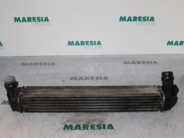 Usados Intercooler Renault Fluence (LZ) 1.5 dCi 105 Precio € 50,00 Norma de margen ofrecido por Maresia Parts