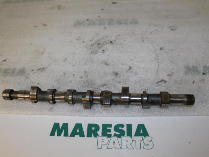 Usagé Arbre à cames Renault Megane Classic (LA) 1.9 dCi Prix € 75,00 Règlement à la marge proposé par Maresia Parts