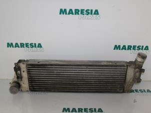Used Intercooler Renault Scénic II (JM) 1.9 dCi 130 Price € 25,00 Margin scheme offered by Maresia Parts
