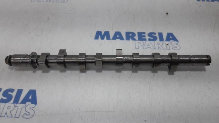 Usagé Arbre à cames Renault Kangoo Express (FC) 1.5 dCi 65 Prix € 105,00 Règlement à la marge proposé par Maresia Parts