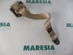 Used Rear seatbelt, right Peugeot 607 (9D/U) 2.2 16V Price € 50,00 Margin scheme offered by Maresia Parts