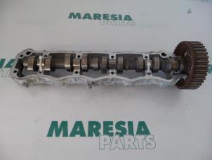 Usagé Arbre à cames Peugeot 206 (2A/C/H/J/S) 1.6 16V Prix € 50,00 Règlement à la marge proposé par Maresia Parts