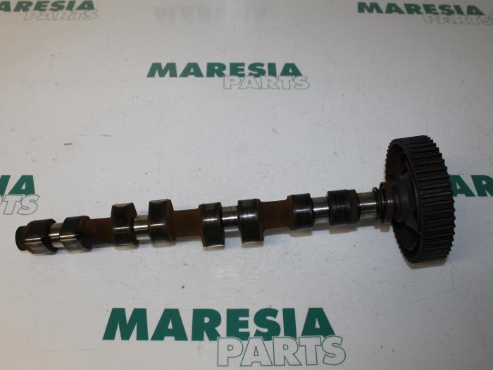 Usagé Arbre à cames Fiat Stilo (192A/B) 1.8 16V 3-Drs. Prix € 85,00 Règlement à la marge proposé par Maresia Parts