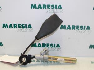 Used Seatbelt tensioner, left Renault Clio II (BB/CB) 1.2 16V Price € 35,00 Margin scheme offered by Maresia Parts