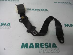 Used Rear seatbelt, right Fiat Stilo (192A/B) 1.4 16V Price € 25,00 Margin scheme offered by Maresia Parts