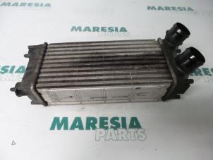 Gebrauchte Ladeluftkühler Citroen Berlingo 1.6 HDi 90 Phase 1 Preis € 29,04 Mit Mehrwertsteuer angeboten von Maresia Parts
