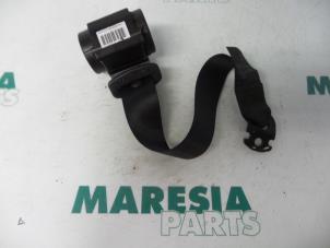 Used Rear seatbelt, left Fiat Grande Punto (199) 1.9 Multijet Price € 25,00 Margin scheme offered by Maresia Parts