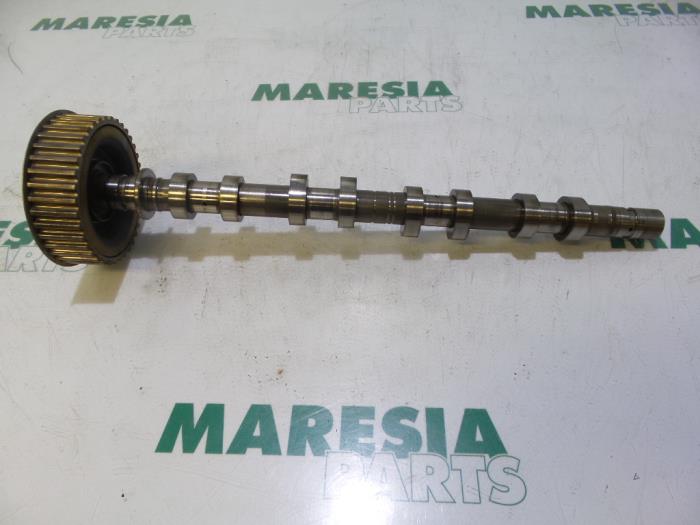 Usagé Arbre à cames Renault Laguna II Grandtour (KG) 2.0 16V Prix € 85,00 Règlement à la marge proposé par Maresia Parts