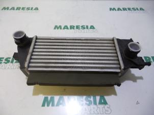 Używane Chlodnica miedzystopniowa Lancia Ypsilon (312) 0.9 TwinAir 85 Cena € 35,00 Procedura marży oferowane przez Maresia Parts