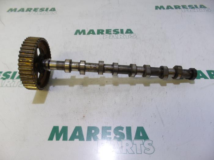 Gebrauchte Nockenwelle Peugeot 307 Break (3E) 1.4 HDi Preis € 75,00 Margenregelung angeboten von Maresia Parts