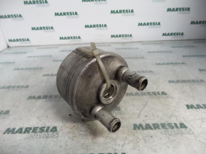 Gebrauchte Ölkühler Lancia Thesis (841) 2.4 JTD 20V Autom. Preis € 131,25 Margenregelung angeboten von Maresia Parts