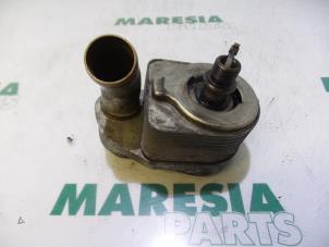 Usados Refrigerador de aceite Fiat Ducato (250) Precio € 102,85 IVA incluido ofrecido por Maresia Parts