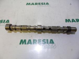 Used Camshaft Fiat Ducato (250) Price € 190,58 Inclusive VAT offered by Maresia Parts