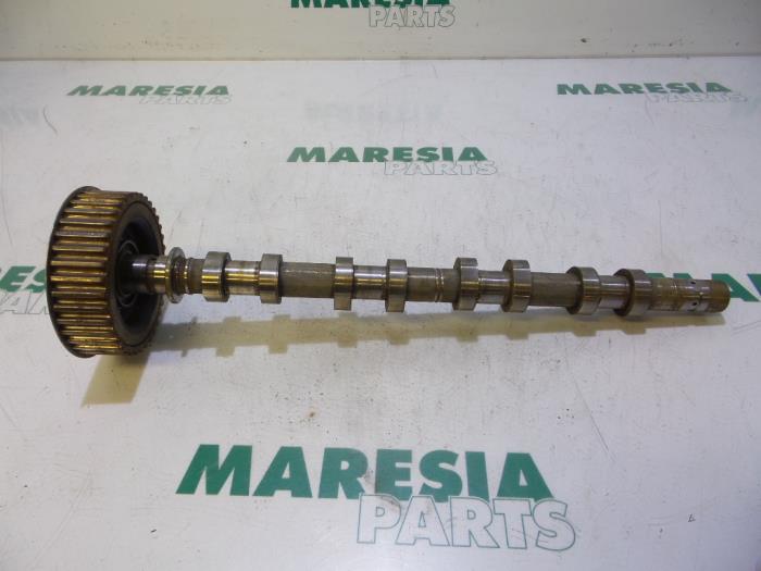 Usagé Arbre à cames Renault Laguna II Grandtour (KG) 1.8 16V Prix € 85,00 Règlement à la marge proposé par Maresia Parts