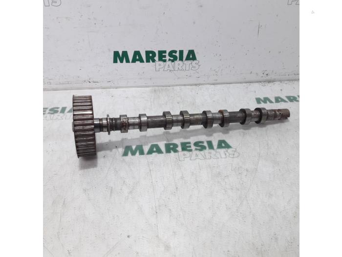 Usagé Arbre à cames Renault Laguna II Grandtour (KG) 1.8 16V Prix € 85,00 Règlement à la marge proposé par Maresia Parts