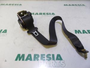 Used Rear seatbelt, centre Lancia Thesis (841) 2.4 JTD Price € 65,00 Margin scheme offered by Maresia Parts