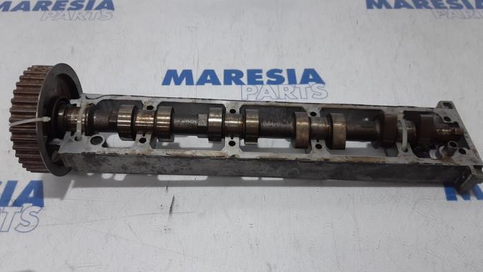 Gebrauchte Nockenwelle Citroen Xsara Picasso (CH) 1.8 16V Preis € 50,00 Margenregelung angeboten von Maresia Parts