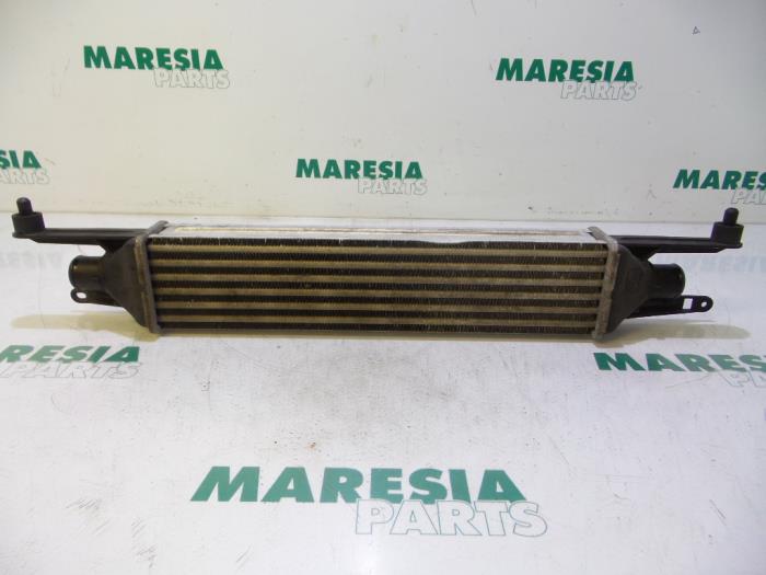 Usados Intercooler Fiat Grande Punto (199) 1.3 JTD Multijet 16V VGT Precio € 35,00 Norma de margen ofrecido por Maresia Parts