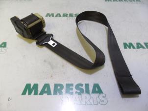 Used Front seatbelt, right Citroen C3 Pluriel (HB) 1.6 16V Price € 65,00 Margin scheme offered by Maresia Parts