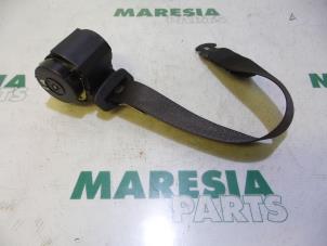 Used Rear seatbelt, left Fiat Grande Punto (199) 1.4 T-Jet 16V Price € 25,00 Margin scheme offered by Maresia Parts
