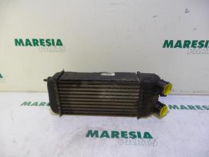 Used Intercooler Peugeot 207 SW (WE/WU) 1.6 HDi 16V Price € 25,00 Margin scheme offered by Maresia Parts