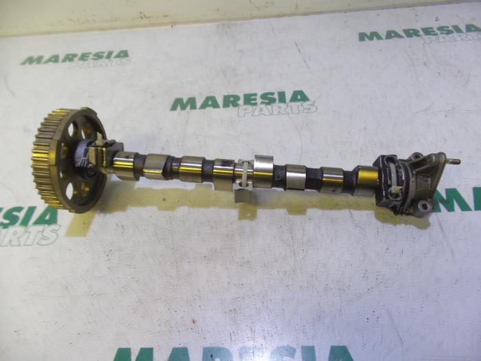 Usagé Arbre à cames Fiat Panda (169) 1.2 Fire Prix € 75,00 Règlement à la marge proposé par Maresia Parts
