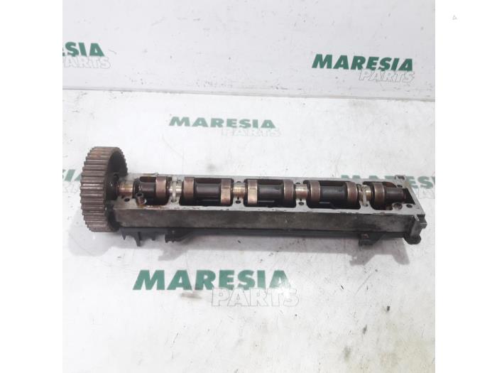 Usagé Arbre à cames Citroen Xantia (X1/2) 1.8i 16V Prix € 50,00 Règlement à la marge proposé par Maresia Parts
