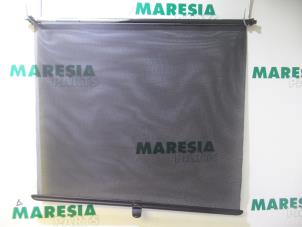 Used Right blind Renault Scénic II (JM) 1.9 dCi 120 Price € 35,00 Margin scheme offered by Maresia Parts
