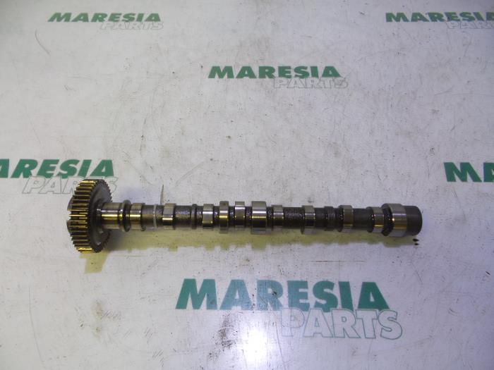 Gebrauchte Nockenwelle Fiat Fiorino (225) 1.3 JTD 16V Multijet Preis € 105,00 Margenregelung angeboten von Maresia Parts