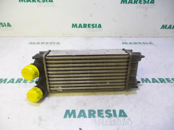 Usados Intercooler Peugeot 308 (4A/C) 1.6 HDi Precio € 24,00 Norma de margen ofrecido por Maresia Parts