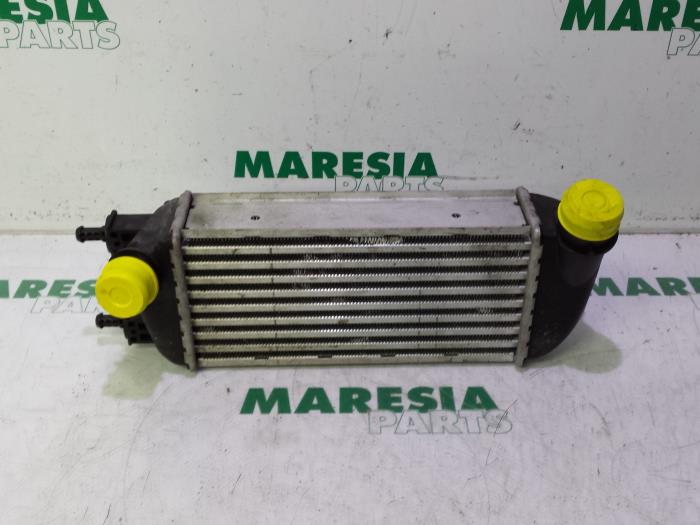 Usagé Intercooler Fiat 500 (312) 1.3 MJTD 16V Prix € 30,00 Règlement à la marge proposé par Maresia Parts
