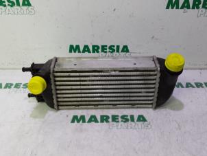 Gebrauchte Ladeluftkühler Fiat 500 (312) 1.3 MJTD 16V Preis € 30,00 Margenregelung angeboten von Maresia Parts