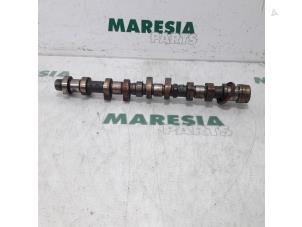 Used Camshaft Peugeot 307 (3A/C/D) 1.6 16V Price € 50,00 Margin scheme offered by Maresia Parts