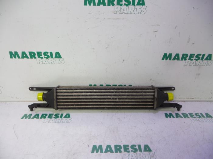 Usados Intercooler Fiat Punto Evo (199) 1.3 JTD Multijet Start&Stop 16V Van Precio € 50,00 Norma de margen ofrecido por Maresia Parts