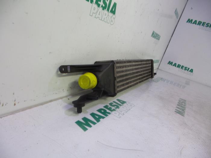 Intercooler from a Fiat Punto Evo (199) 1.3 JTD Multijet Start&Stop 16V Van 2010